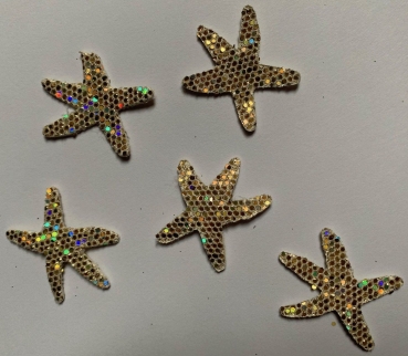 Seestern gold irisierend